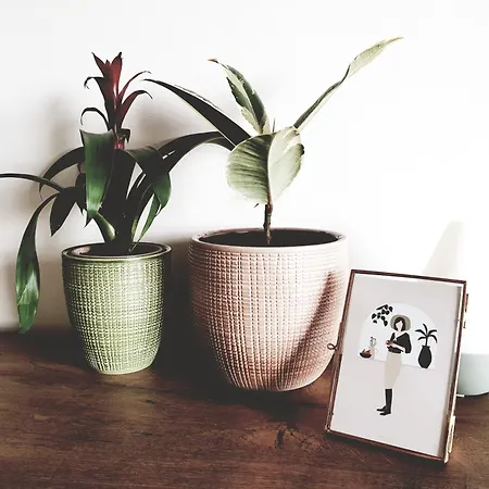 Apartment Modern Boho Split