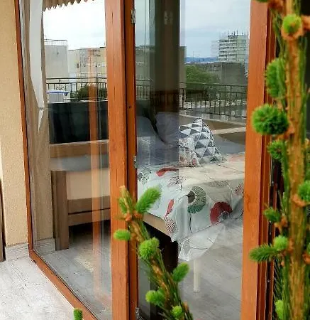 Modern Boho *